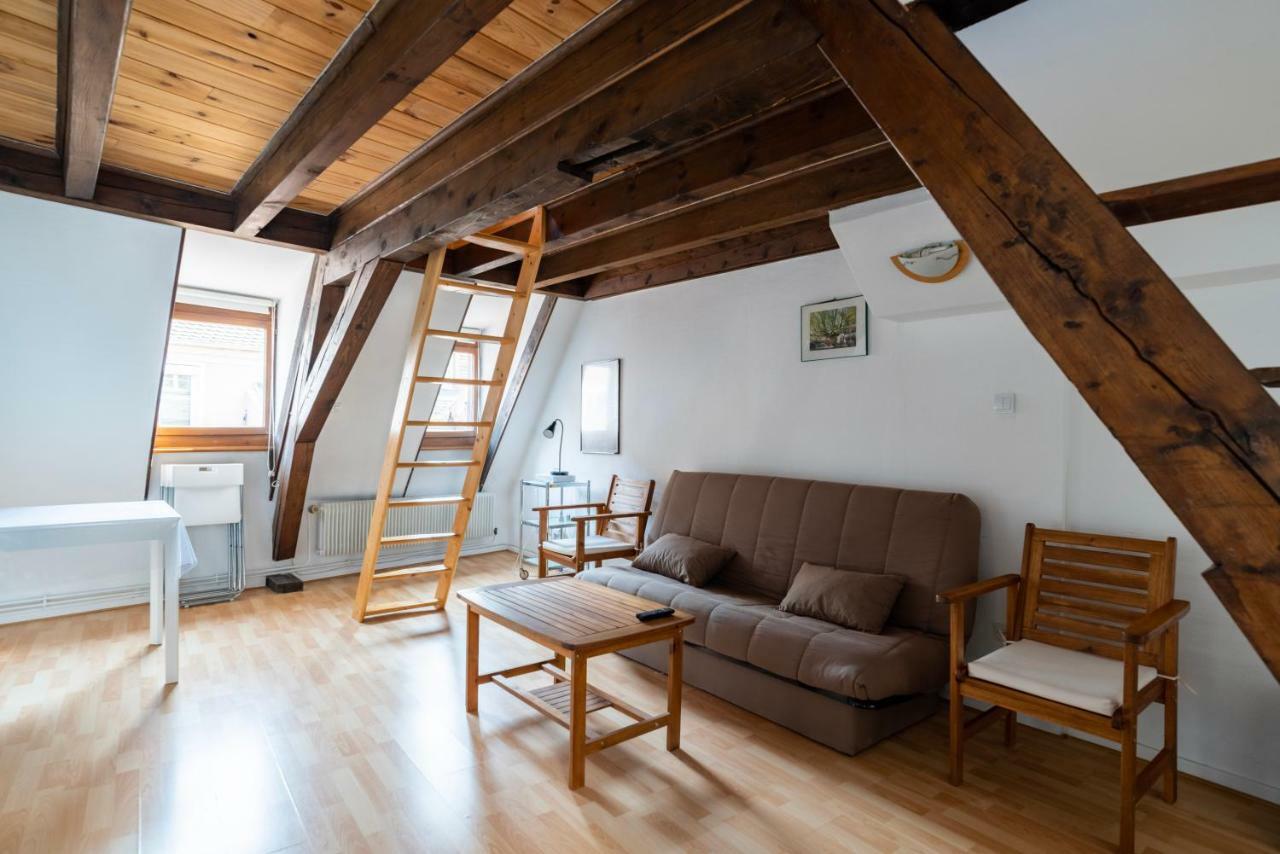 Citycosy Strasbourg - Budget St Thomas Serruriers Bagian luar foto